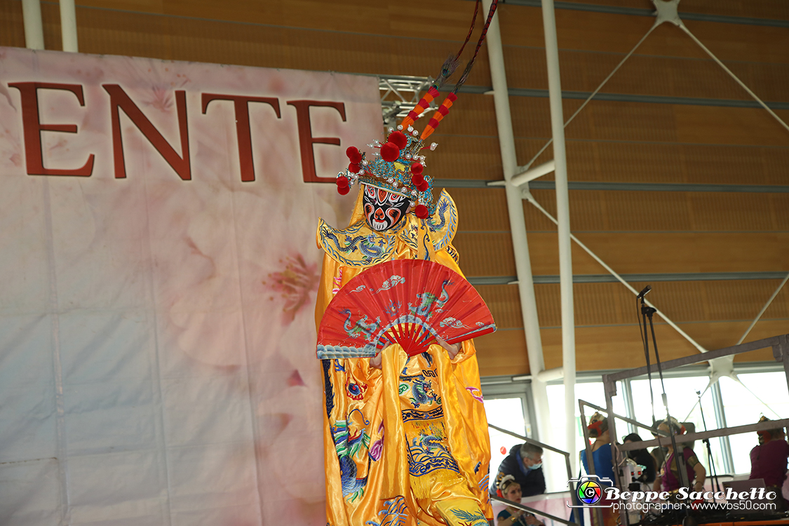 VBS_5147 - Festival dell'Oriente 2022.jpg